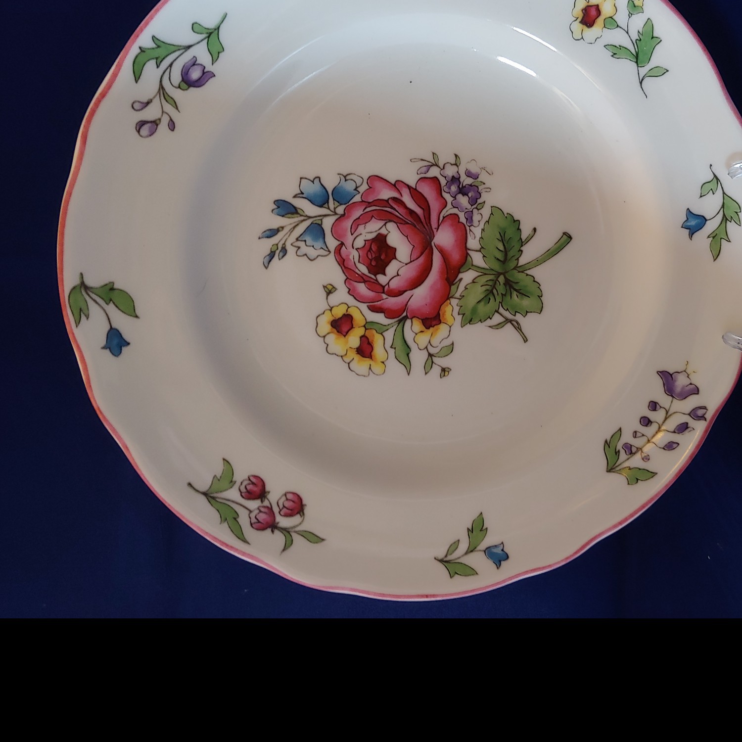 William Roberts “Victoria” fine china - dinner and salad plates