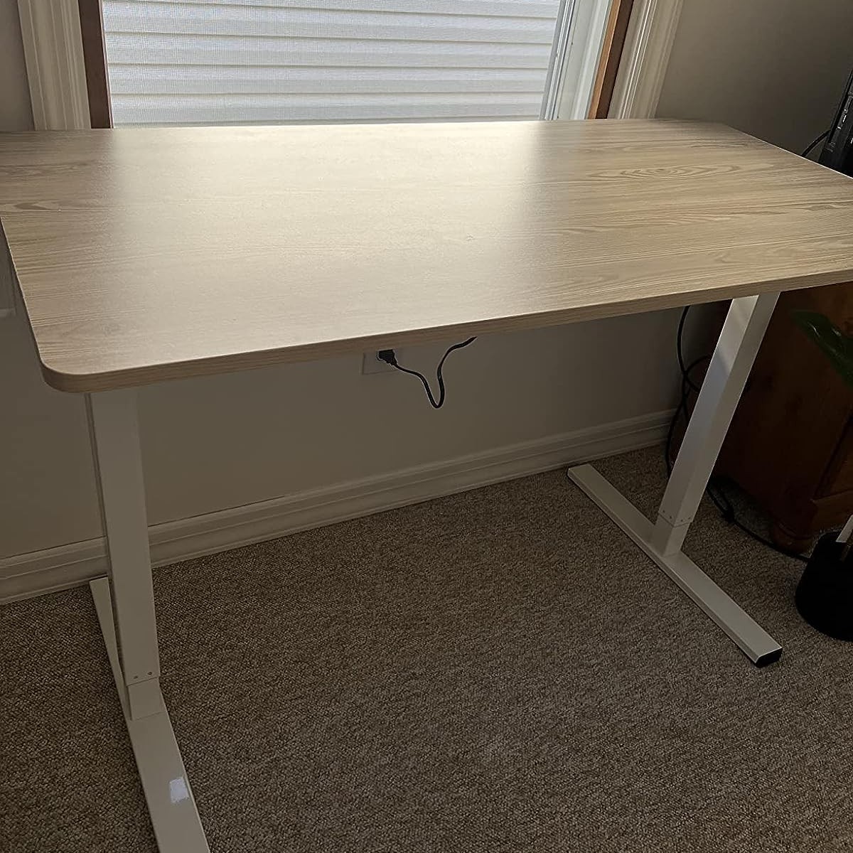  FLEXISPOT Adjustable Desk (White Frame + 48” Bamboo Texture Desktop)